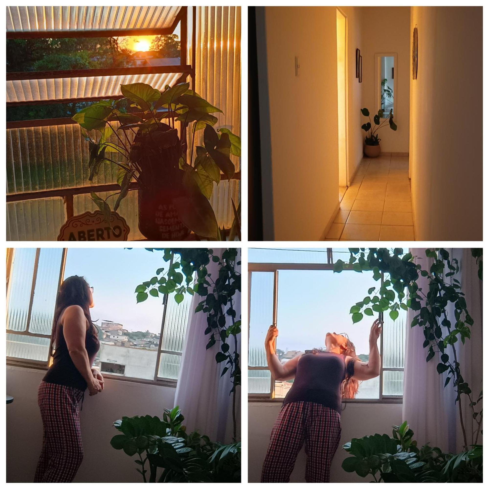 Oasis Interior 호텔 볼타 레돈다 외부 사진