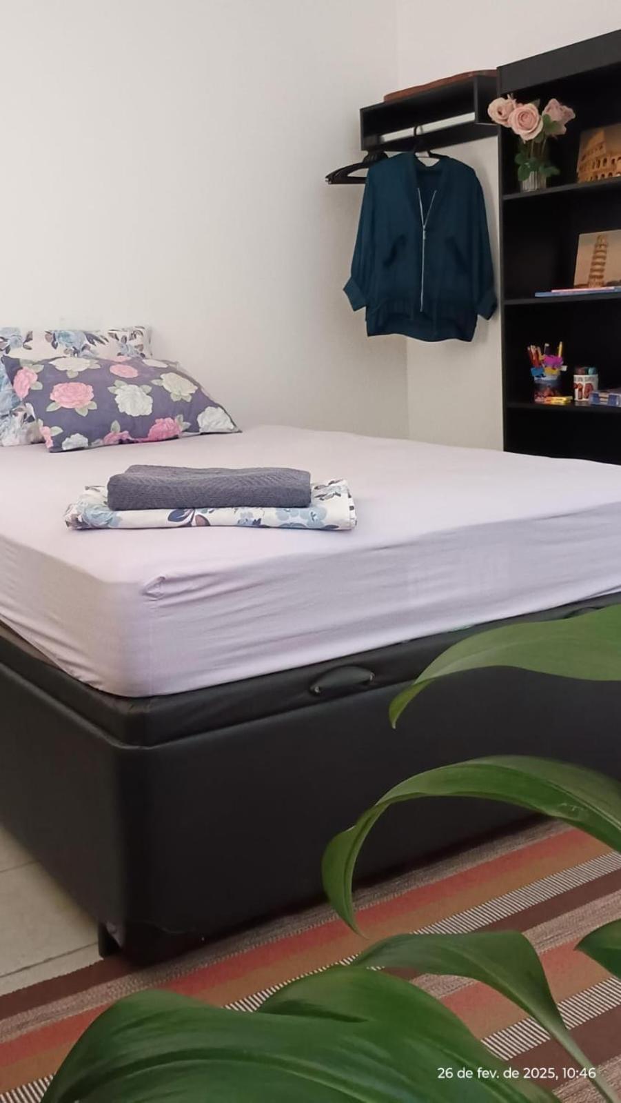 Oasis Interior 호텔 볼타 레돈다 외부 사진